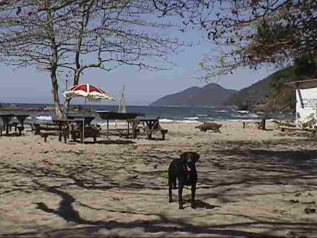 ILHABELA: ONDE IR? TRÊS LUGARES SECRETOS! 